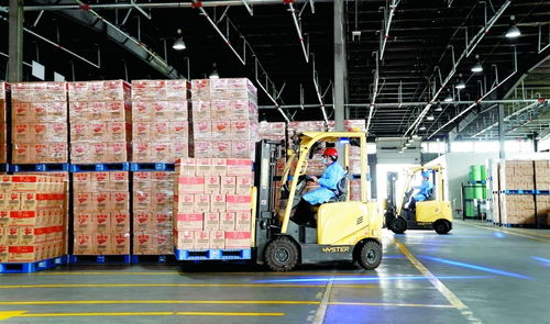 上海666家重點(diǎn)企業(yè)復(fù)工復(fù)產(chǎn)穩(wěn)步推進(jìn)，運(yùn)輸能力逐步恢復(fù)