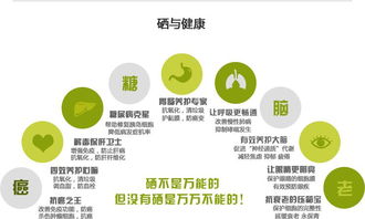 富硒健康新動(dòng)力，產(chǎn)業(yè)盛會(huì)譜新章——聚焦2017第十四屆上海富硒食品產(chǎn)業(yè)博覽會(huì)及其酒店管理服務(wù)